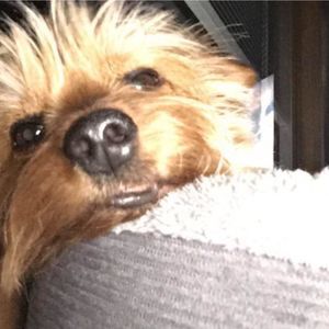 Meet your Posher, Jasmine